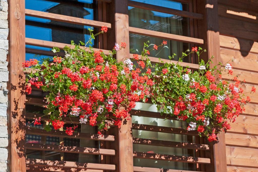 Pietre Gemelle Resort Alagna Valsesia Dış mekan fotoğraf